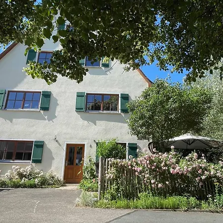 Lindenbluete Engelthal